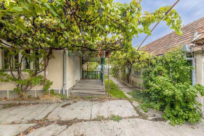 Casa spatioasa in Pancota ideala pentru doua familii - 21