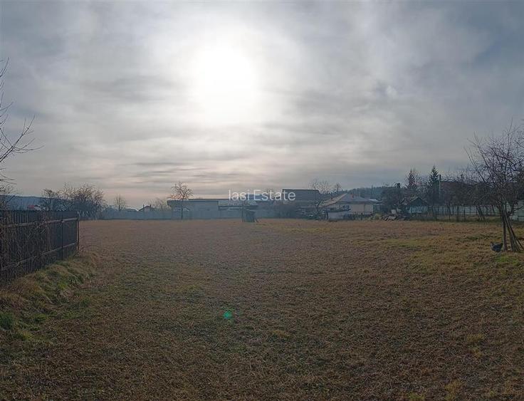 Teren 3500mp.zona centrala Paun Bucium la asfalt cu toate utilitatile - 3