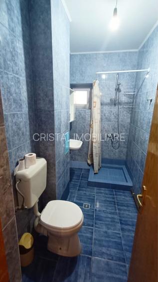 Studio 50 mp, parter, centrală proprie, parcare, Grigorescu, pet friendly - 5