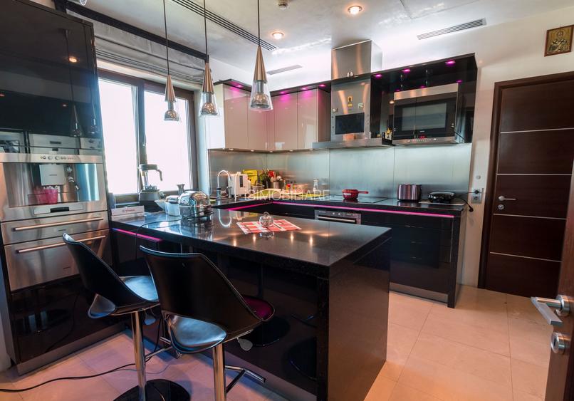 Penthouse parc Herastrau sos Nordului + 400 mp curte cu piscina - 8