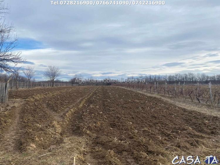 Casa situata in orasul Targu-Carbunesti , Localitatea Floresteni - 6