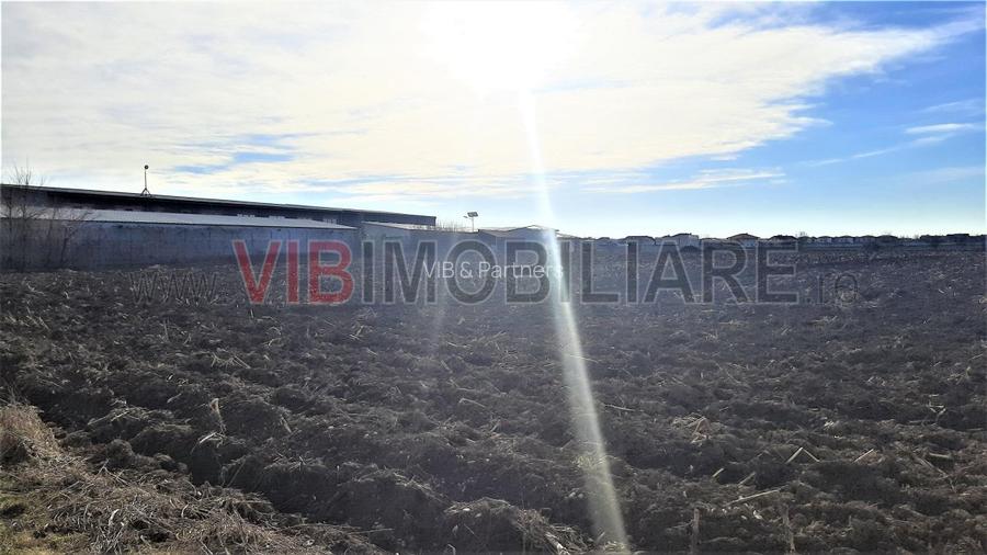 Otopeni - Strada Alexandru Ioan Cuza - 8