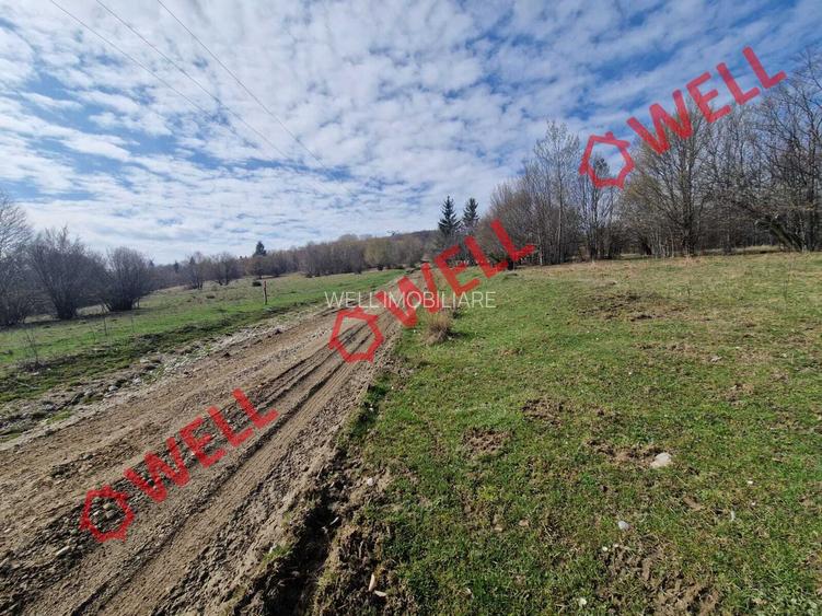 De vânzare teren extravilan în localitatea Brădet! - 11