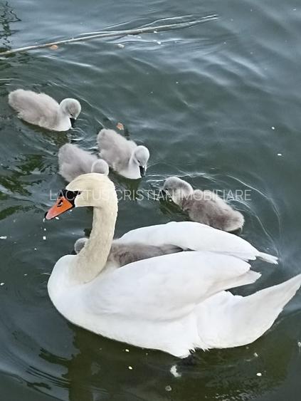 EXCLUSIVITATE! VILA UNICAT D+P+1 ZONA MAMAIA-SAT - 15