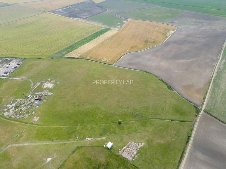 Teren intravilan de 26,606mp Sacalaz - 11