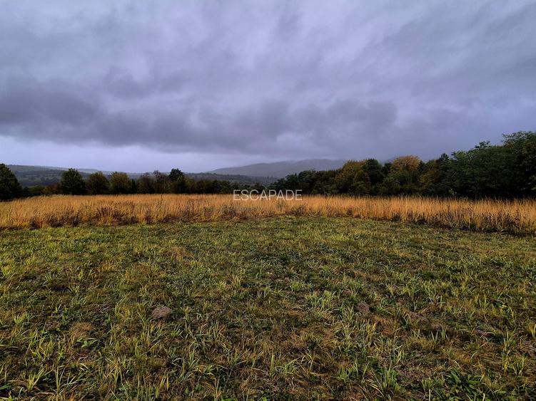 Comision 0%, teren extravilan 12497 mp Sinca Noua - 11