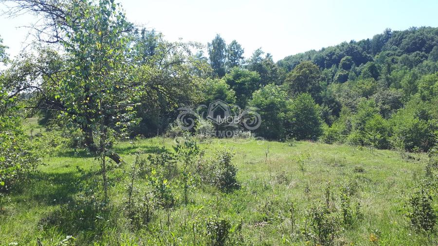 Teren cu livada de vanzare in Albesti de Muscel - 4