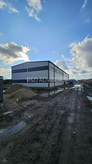 Hale Noi De Inchiriat | Chitila | Iesire direct In Centura - 6