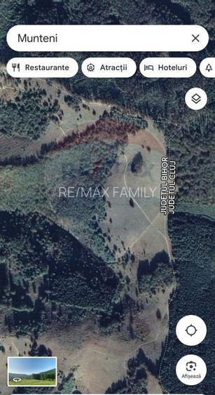 Teren 130000 mp extravilan, faneata si padure, Munteni - Bulz, Negreni - 18