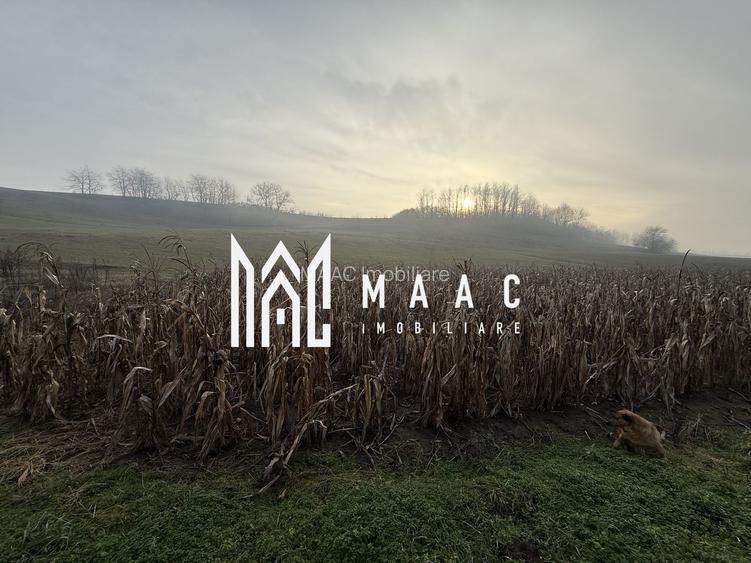 Casa individuala | 3502 MP | Utilitati | Miercurea Sibiului - 16