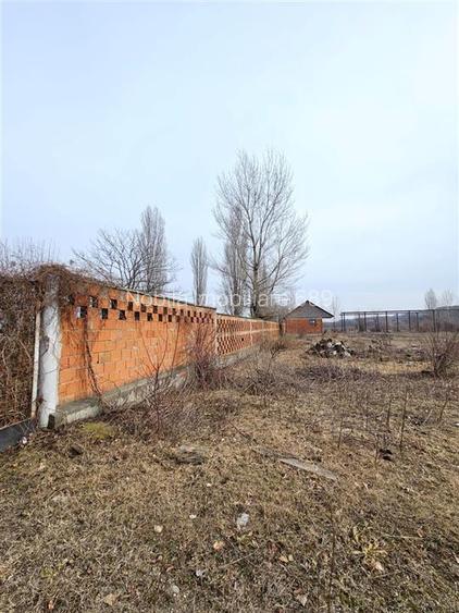 Teren Platou Premium, 57.662 mp, Deschidere Generoasă  400 ml la DJ One5 - 10