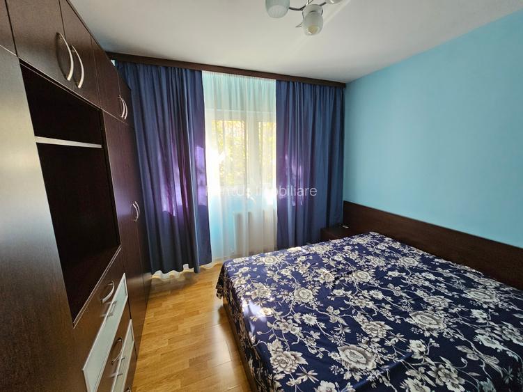 BABA NOVAC/DRISTOR/LOC DE PARCARE/AP 2 CAMERE LA CHEIE - 3