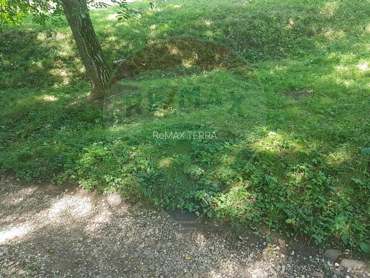 1.72 ha TEREN DE VANZARE - Seini - 3