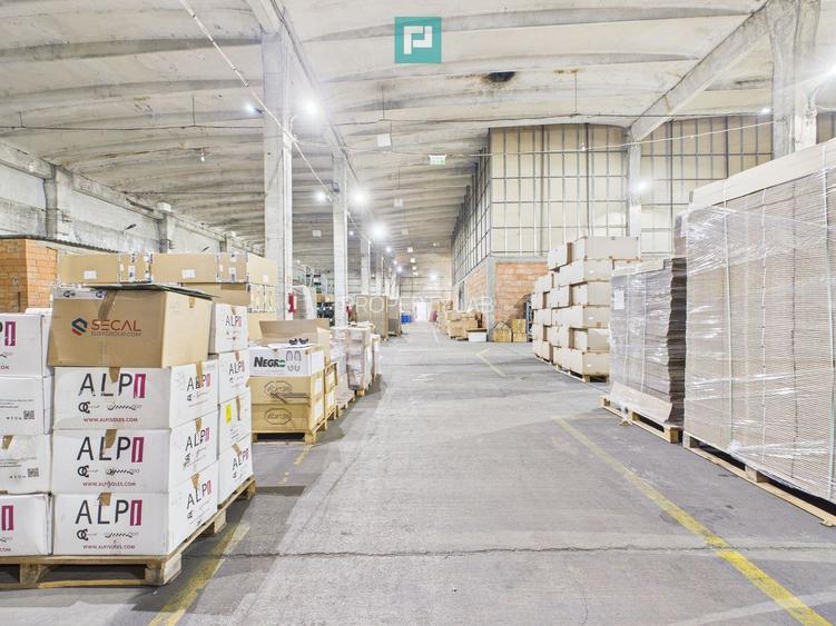 Teren 9.419 mp + hale 7.000 mp – Huși, Vaslui - 3