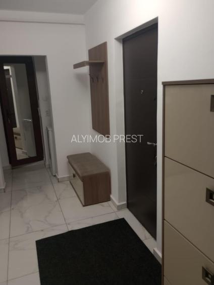 VANZARE 2 CAM MARGEANULUI- PETRE ISPIRESCU - 11