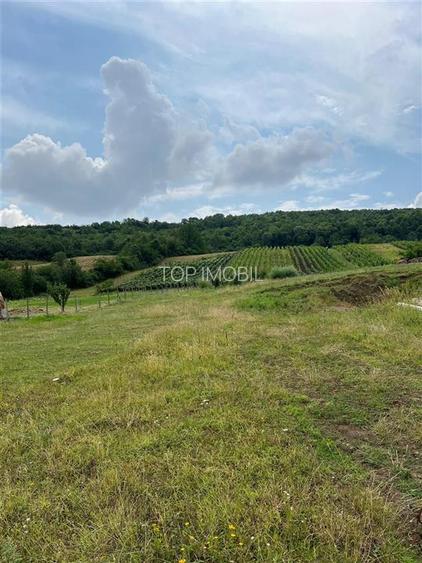 Teren Tomesti 3750MP - 5