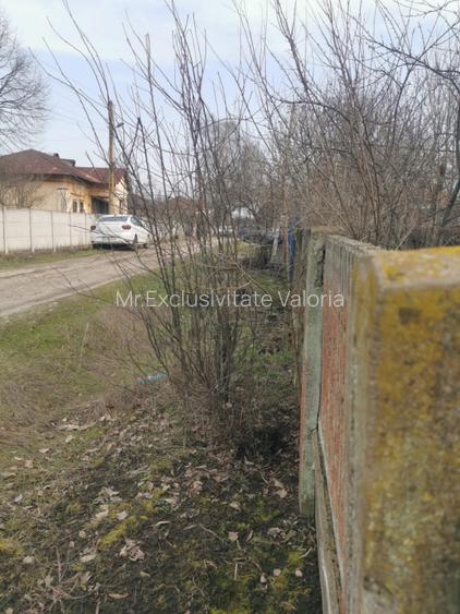 Casa batraneasca Zanoaga - 2002 mp teren - 5
