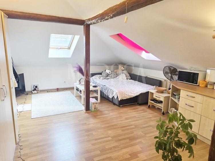 Casa 9 camere de vanzare in Centru, Cluj Napoca - 12