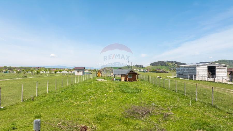Teren 1300 mp | Sanpetru | zona Livada - 7