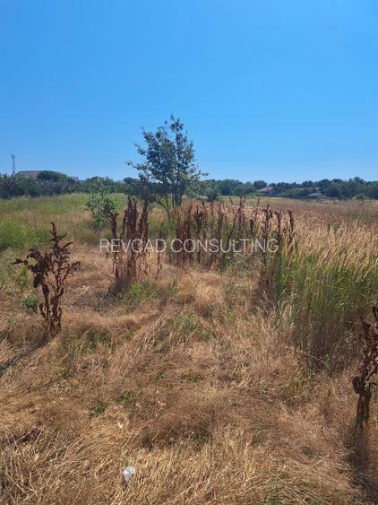 Teren linga strada Ciresilor - 2