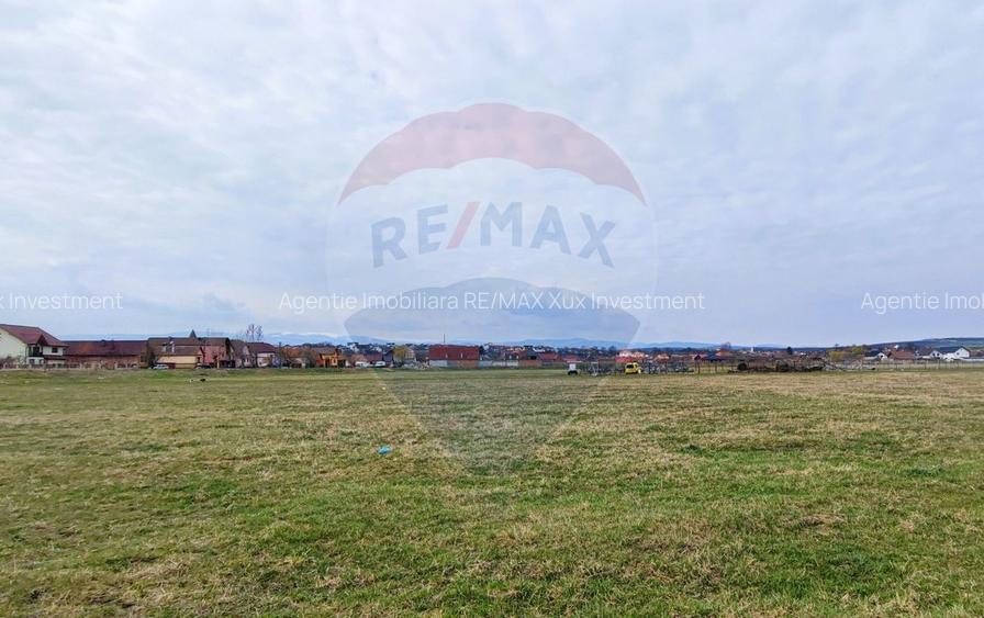 Teren de vanzare zona industriala Sura Mica - 3