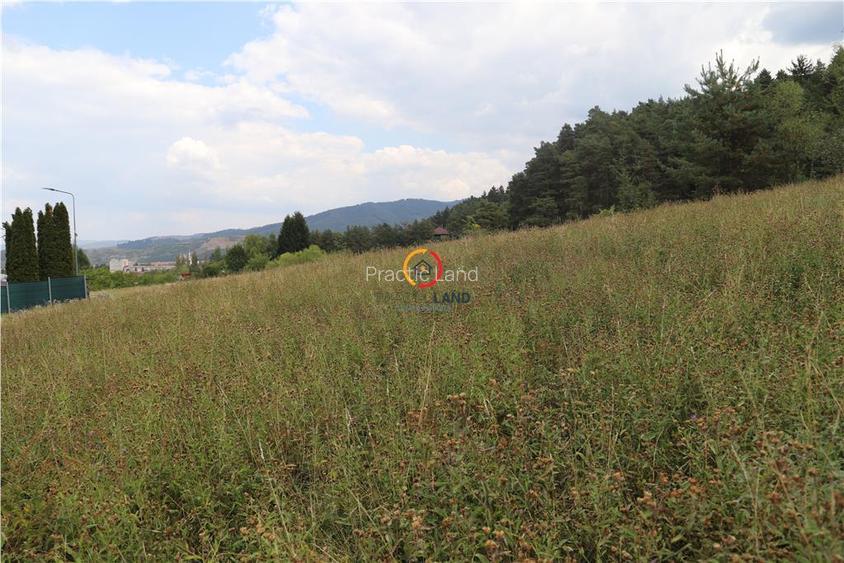 teren intravilan cu PUZ si PUD 2 loturi - 3