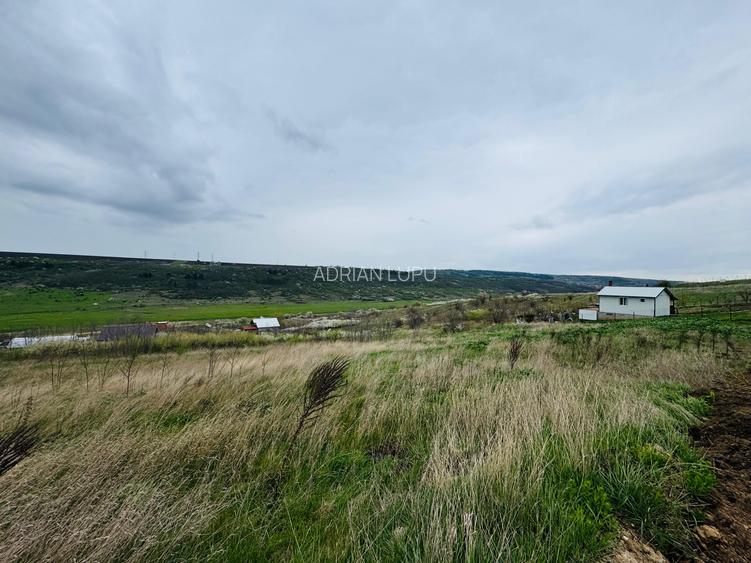 Vânzare Teren Intravilan 1500 mp Pensiunea Carolina PUZ Casă D+P+2E - 3