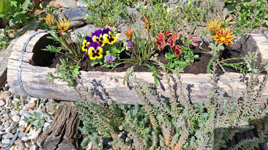 Pensiune, oportunitate excelenta de investitie - 11