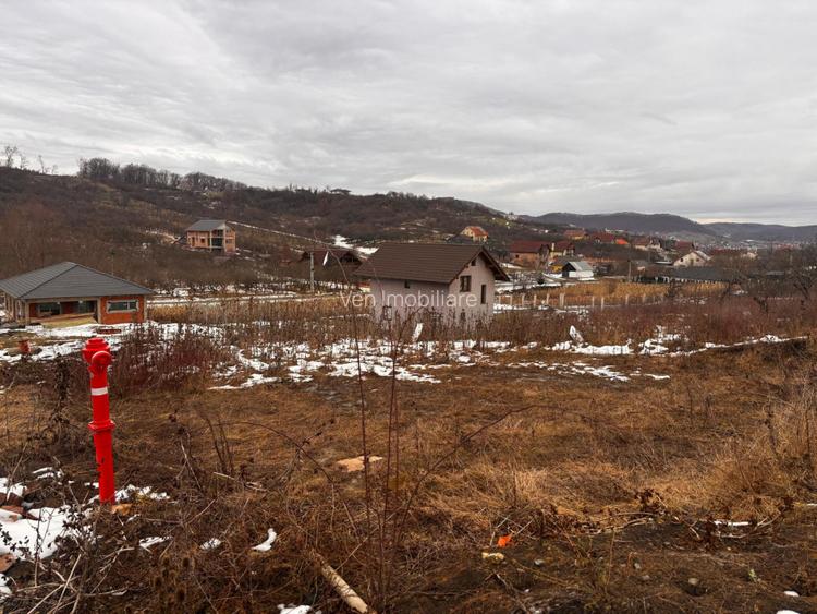 Teren Intravilan 550mp Valea Rusului - 3