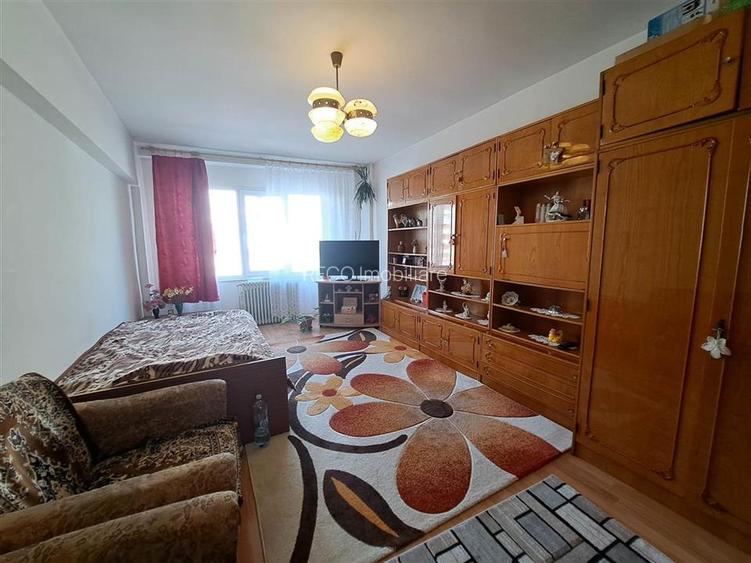 RECO apartament C.Coposu - 3