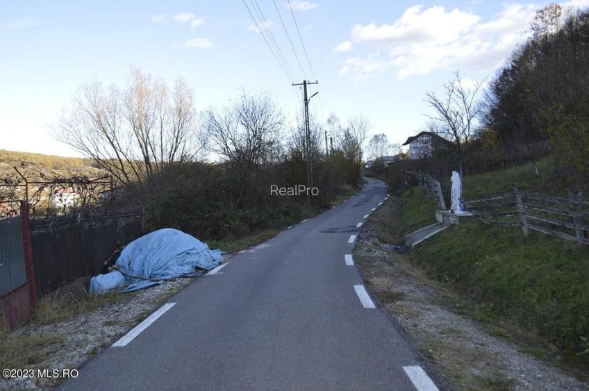 Babana - Centru - Primarie, Teren intravilan 13742 mp! - 4