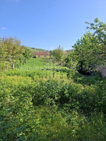 Casă cu două corpuri de clădire și teren generos – sat Boarta, județul Sibiu - 14