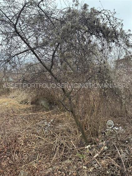 teren intravilan - Piatra Neamt - Sarata - 3