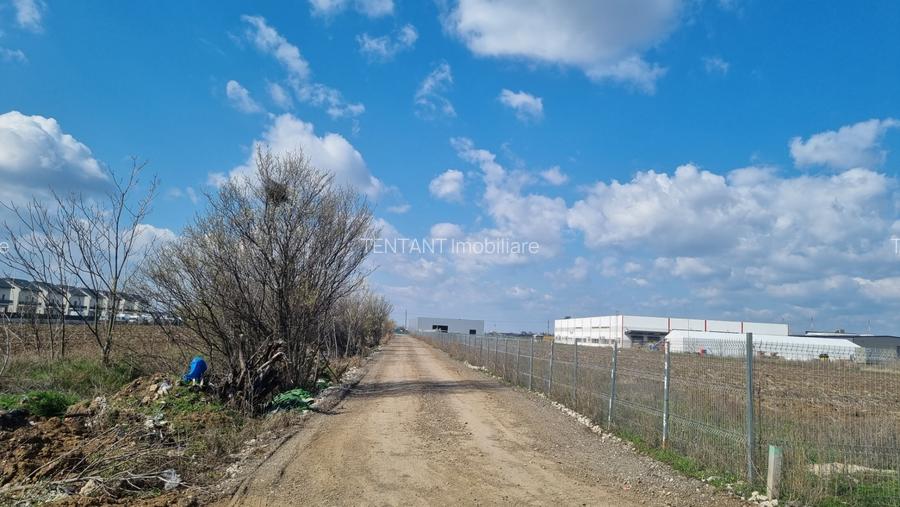 Vanzare Teren construibil Magurele Varteju - 4