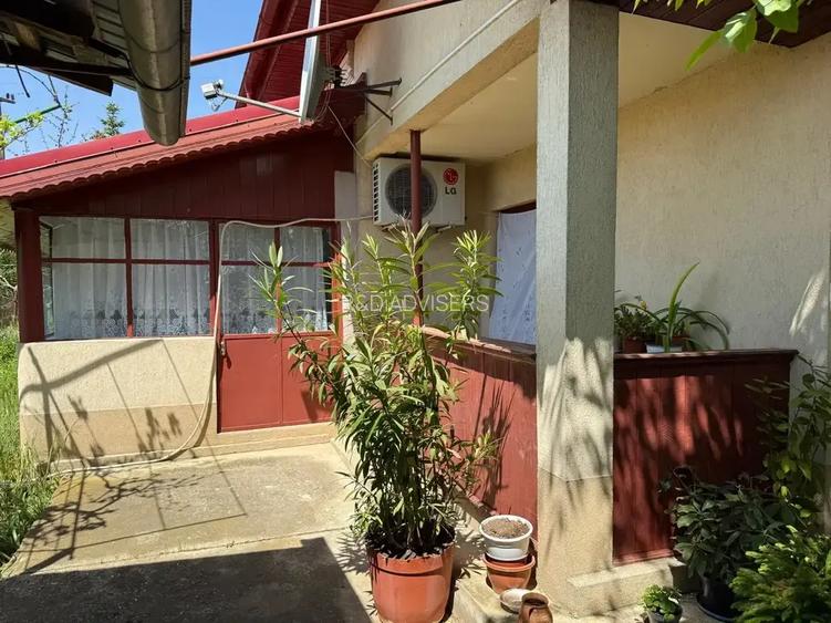 Casa cu 4000 mp teren, Letca Noua, Giurgiu — 1h de București - 10