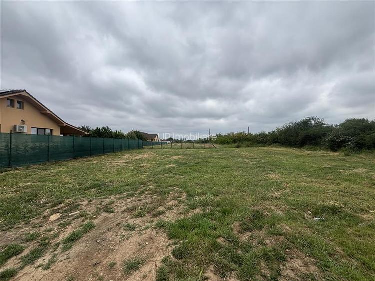 TEREN INTRAVILAN | 454 MP | DUBLU FRONT | TOATE UTILITATILE | SANTANDREI | BIHOR - 3