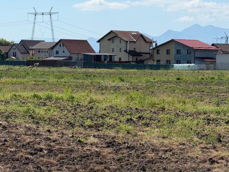 Loturi de casa, PUZ aprobat, intravilan, utilitati in curs de executie - 6