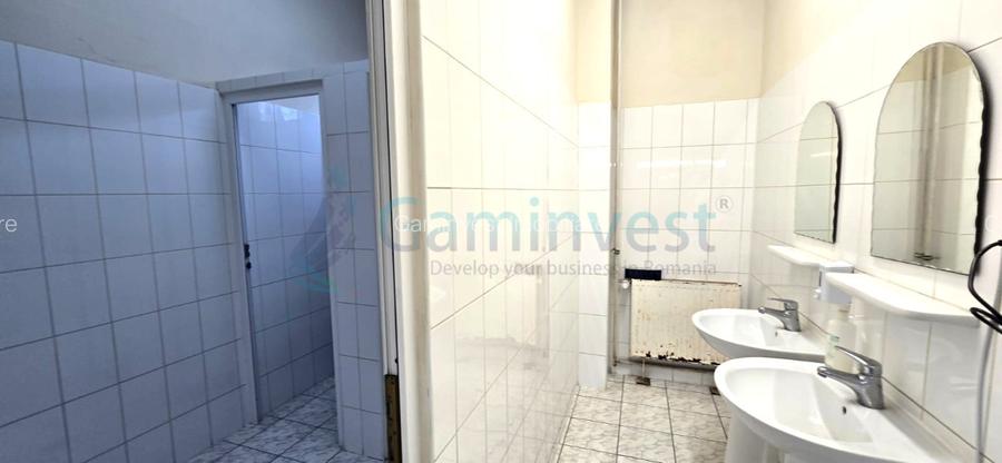 Hala de inchiriat in Marghita pentru productie si depozitare, Bihor - 18