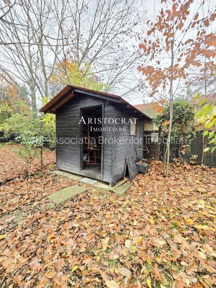 Vila 4 camere Paradisul Verde - 20