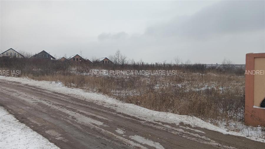 Visan str Dealul Craitelor TEREN 6383mp  si 4217mp utilitati  si transport in co - 2