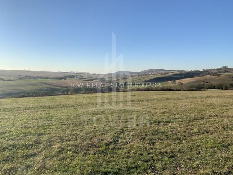 Teren pentru constructie cabana in Dealul Daii-parcele de 650 mp - 4