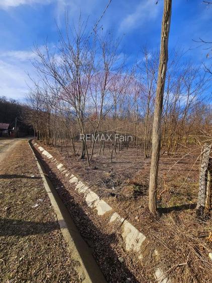 Teren 2,714mp de vanzare -  Strada Gura Vaii / Bujoreni - 4