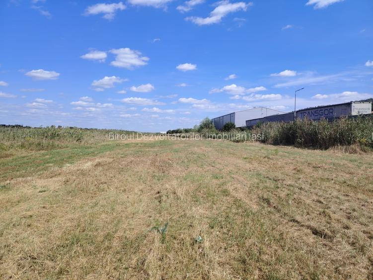 Teren intravilan industrial – Tomești, zona Contom - 5