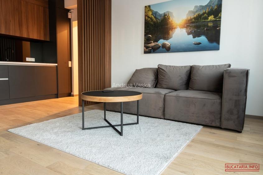 Direct de la proprietar,apartament de lux cu doua camere in Monarch,Take Ionescu - 8