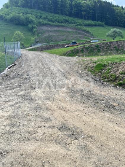 Teren 1059 mp in Raul Sadului– Natura  liniste si investitie - 4