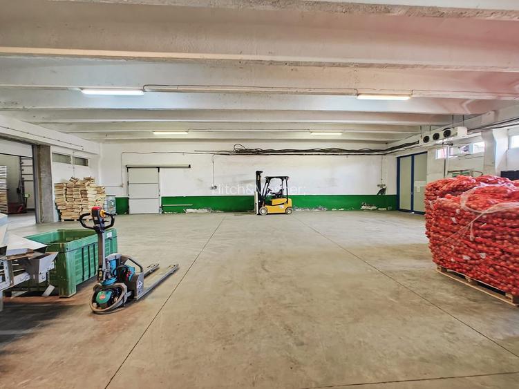 Hala + Spatii de birouri - 1500 mp - zona Freidorf - Comision 0% - 3