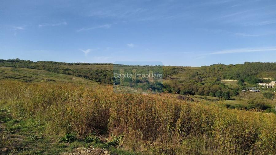 7 parcele teren intravilan , zona Lacuri Oradea - 4