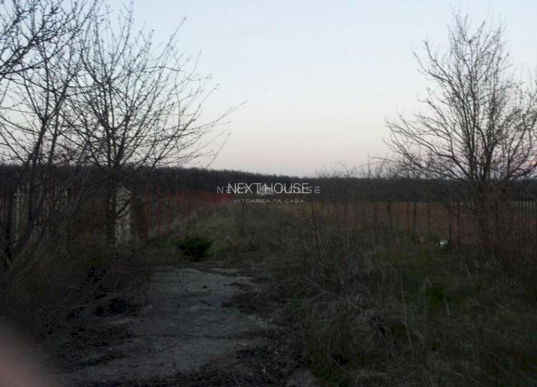 Casa Vacanta Izvorani - 4