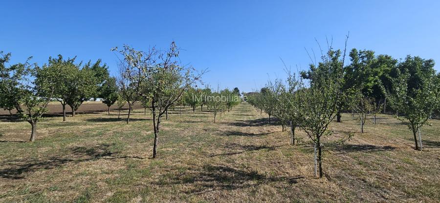 Casă individuală cu 6 camere în Gelu - 10