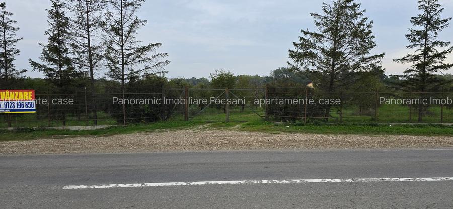 LIVADA  DE VANZARE FOCSANI-DUMBRAVITA  1,8  HA - 23